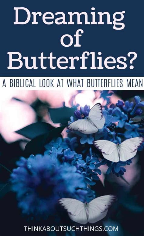 The Biblical Meaning Of Butterfly Dreams- Your Questions Answered ...