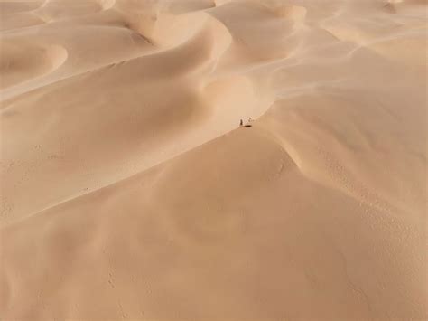 Pismo Beach Sand Dunes: The Essential Guide to Visiting Oceano Dunes