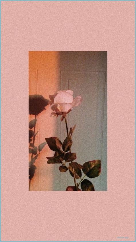 Vintage Aesthetic Flower Wallpaper Download | MobCup