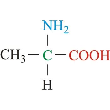 Alanine @ Chemistry Dictionary & Glossary