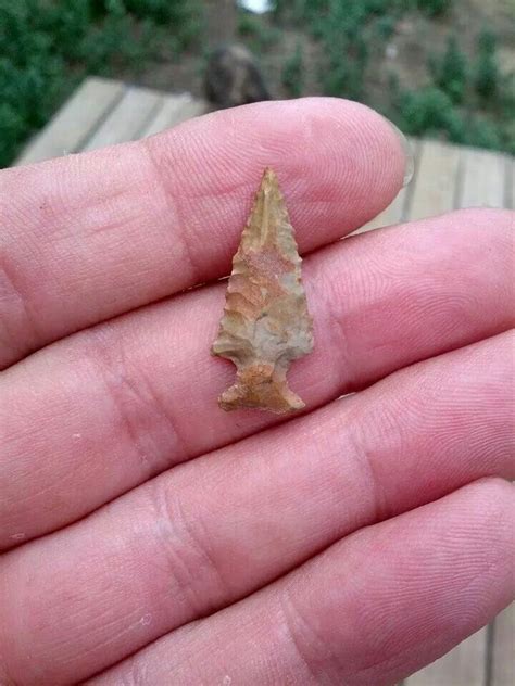 Small Ais Indian arrowhead found along the Indian River Lagoon, Florida Kayakingksc.com | Native ...