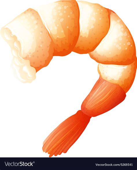 Shrimp tail on white Royalty Free Vector Image