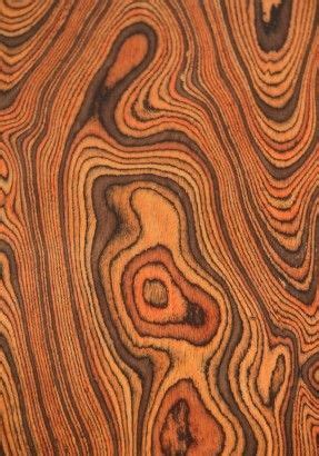 wood chrome - Google Search | Wood patterns, Tree textures, Textures patterns