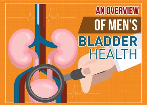 Overview of Men's Bladder Health [Infographic]