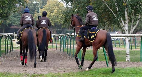 Racehorse training facilities | Newmarket racehorse trainer UK