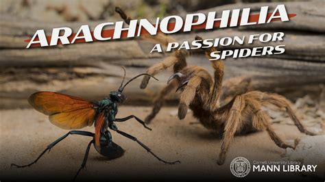 Arachnophilia - Online exhibitions across Cornell University Library