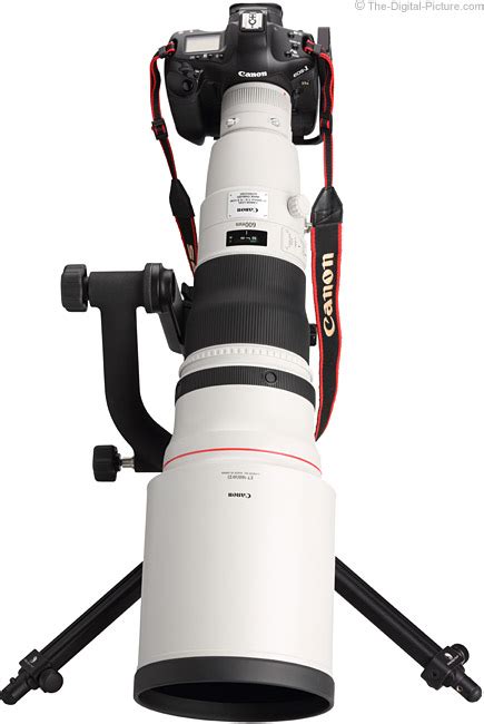 Canon EF 600mm f/4L IS II USM Lens Review