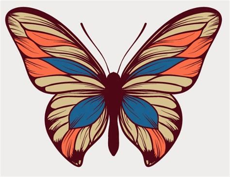 Free Colorful Butterfly Vector Art - TitanUI