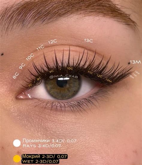 Natural Fake Eyelashes, Perfect Eyelashes, Natural Eye Makeup, Doll Eye ...