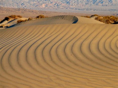 Types Of Sand Dunes