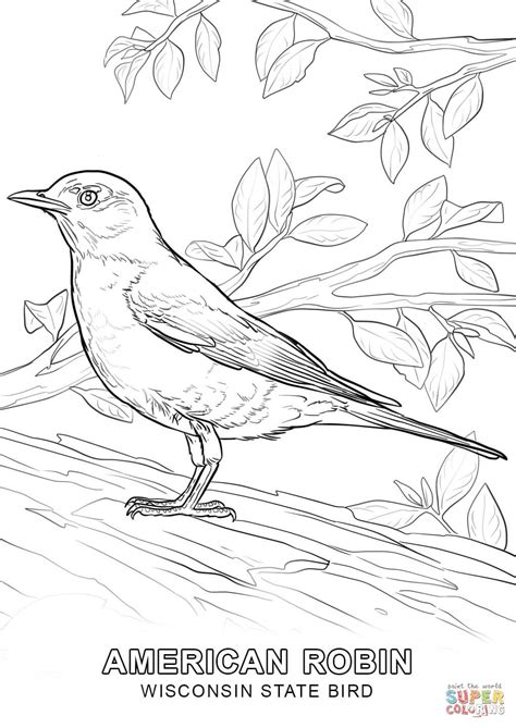 Alabama State Bird Coloring Page - Coloring Home