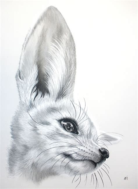 Fennec Fox Drawing Audrey Migeotte.jpg (2607×3576) | Art Inspiration - Fennec Fox | Pinterest ...