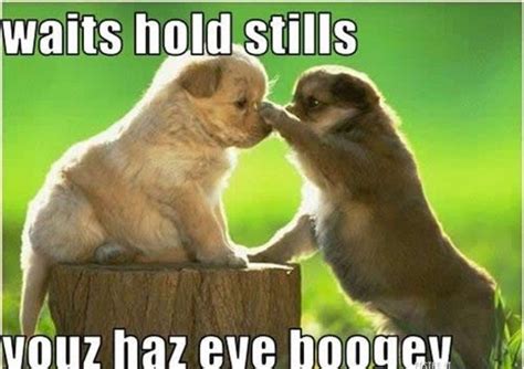 20 Cute And Adorable Baby Animal Memes With Funny Captions (With images ...