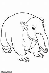 Anteater Oso Hormiguero Tamandua Colorir Bandeira Planse Colorat  sketch template