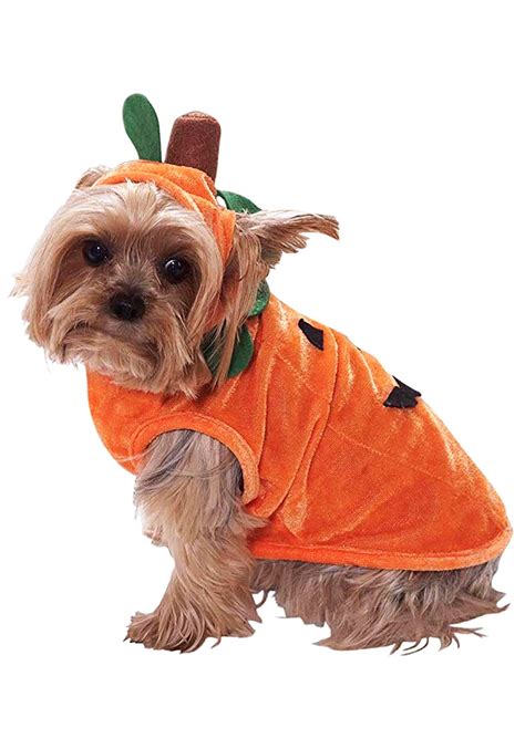 29++ Diy costumes for dogs information | 44 Fashion Street