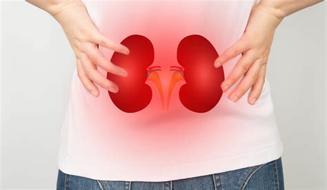 Kidney Infection: What Is, Symptoms, Treatment, and More