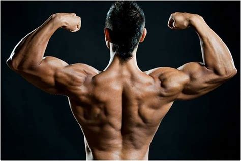 Anabolic Steroids, Health Uses, Challenges and Benefits - Natural Health