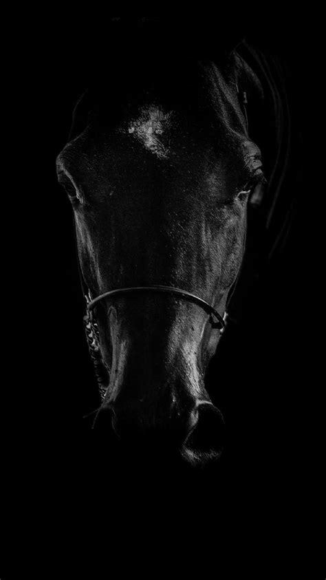 Dark Horse HD Wallpapers - Top Free Dark Horse HD Backgrounds - WallpaperAccess