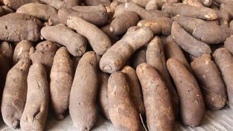 How to Preserve Yam in Nigeria – Nigerian Finder