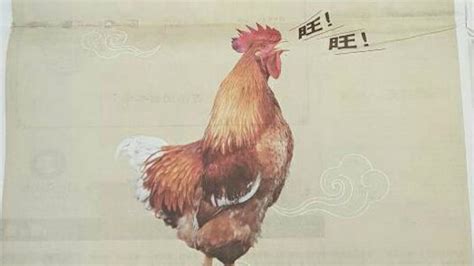 Malaysian Government Ad Used Barking Rooster to Celebrate the Chinese ...