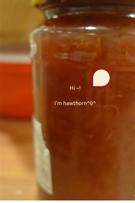 Hawthorn Oh My Hawthorn Jam : 6 Steps - Instructables