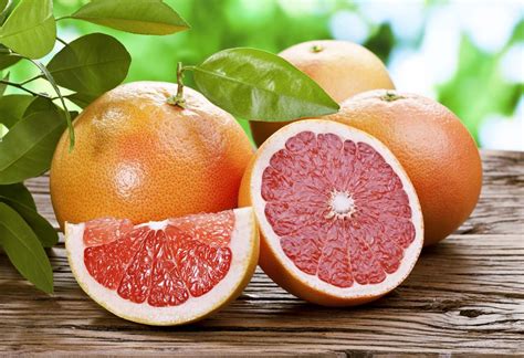 Citrus | Fruit, Trees, Aromatic | Britannica
