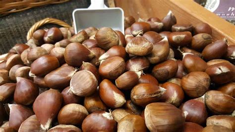 Chestnuts vs Hazelnuts: Comparison, difference, how to cook - Eduvast.com