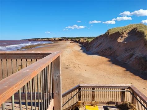 P.E.I. National Park dunes suffer 'extremely dramatic' erosion from ...