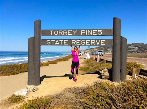 Hiking at the Torrey Pines State-Reserve in San Diego - La Jolla! It was awesome! | Torrey pines ...