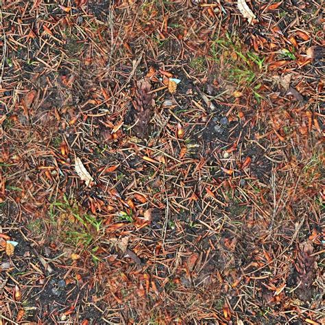 High resolution seamless texture of a forest ground with autumn leaves and nuts 17177219 Stock ...