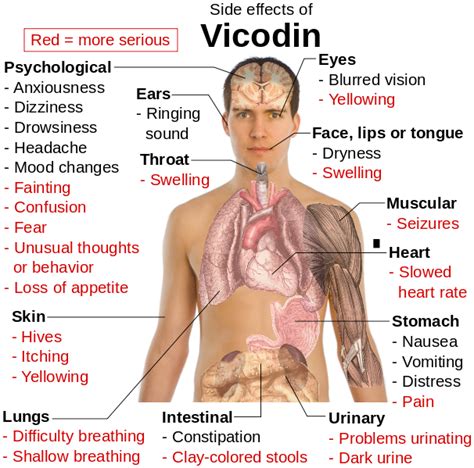 File:Side effects of Vicodin.svg - Wikimedia Commons