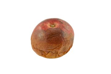 Rotten Apples PNG Transparent Images Free Download | Vector Files | Pngtree