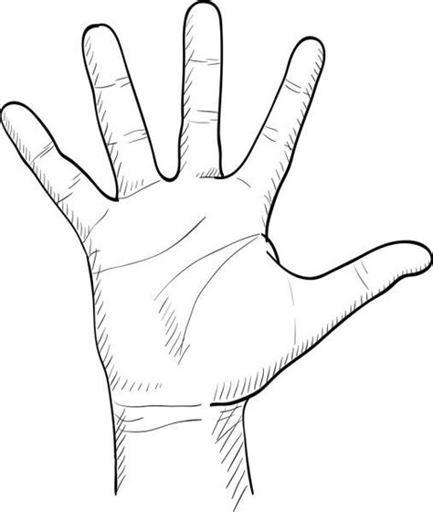 Hand drawn men's palm | How to draw hands, Hand drawing reference, Stick drawings