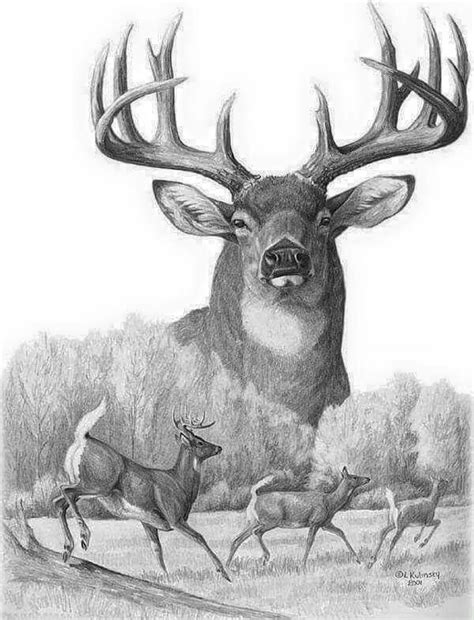 Deer Hunting Drawings at PaintingValley.com | Explore collection of ...