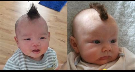 25 Unique Baby's First Haircut Ideas for New Parents – Child Insider