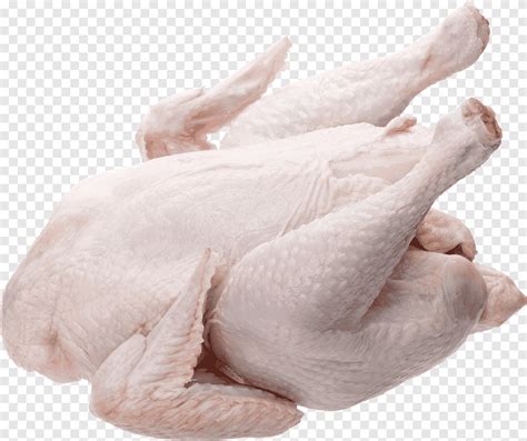 Kosher foods Chicken meat Broiler Poultry, chicken, food, animals png ...