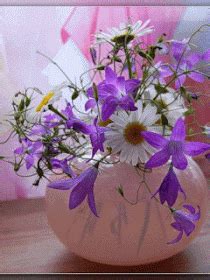 Lindas Gifs e Imagens: Flores em Jpg e Gifs Halloween Imagem, Gifs, Flower Vases, Flowers ...
