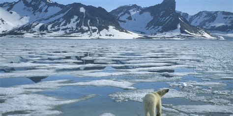 Senators Mark Kirk and Maria Cantwell Go on the Offense to Protect the Arctic Refuge | HuffPost