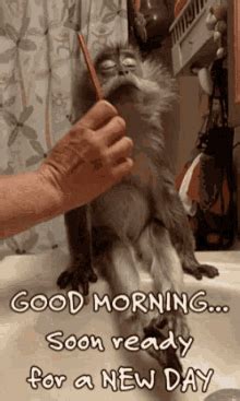 Funny Good Morning GIFs | Tenor