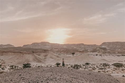 The call of the Negev Desert: the ultimate Israeli desert road trip - Along Came An Elephant