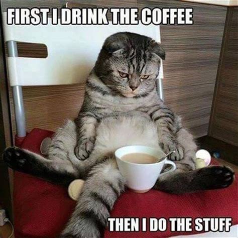 Here Are 30 (MORE!) Hilarious Coffee Memes To Perk Up Your Day | 22 Words