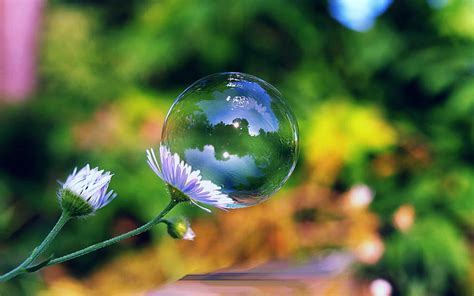 Photography Bubble HD Wallpaper