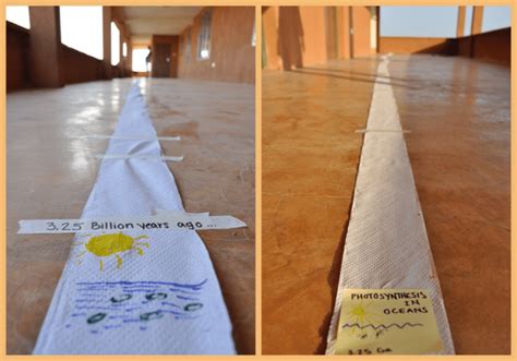 The toilet paper timeline (reproduced with permission from Turkana ...