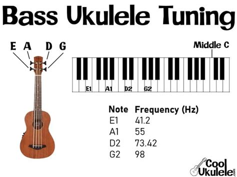 Bass Ukulele Tuning - Standard Notes (EADG) - Epic Guide | CoolUkulele.com