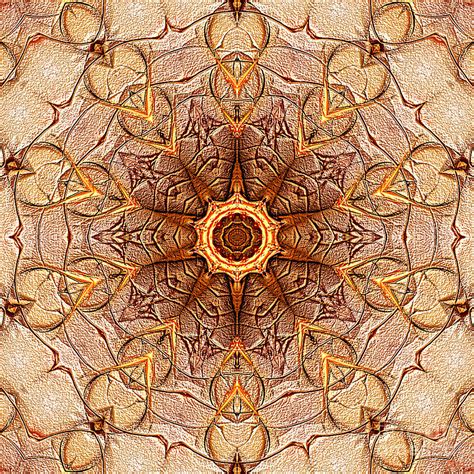 Sand Mandala Digital Art by Nan Engen - Fine Art America