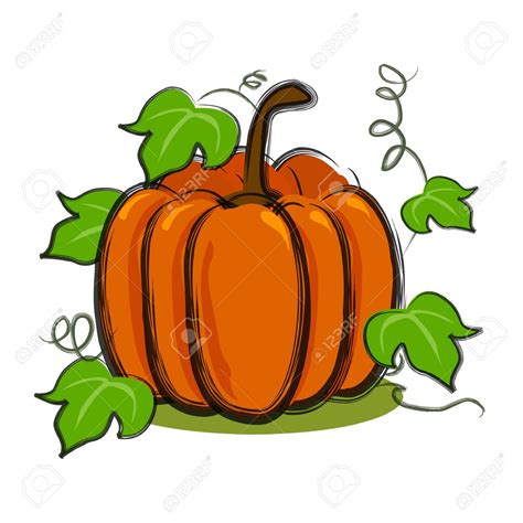 Pumpkin Vine Drawing at GetDrawings | Free download