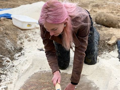 Archaeology breakthrough: 'Stunning Roman mosaic find leaves Alice ...