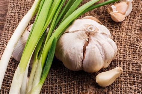 7 Tips to Get Rid of Garlic Breath - HTV