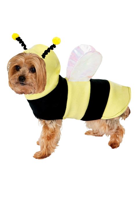 Dog Bumblebee Costume | ubicaciondepersonas.cdmx.gob.mx