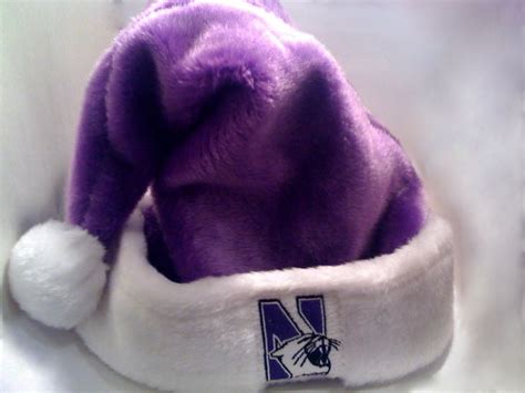 Purple Santa Hats - Tag Hats